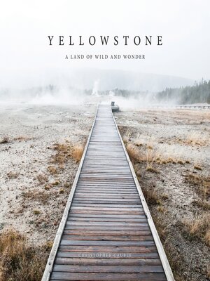 cover image of Yellowstone